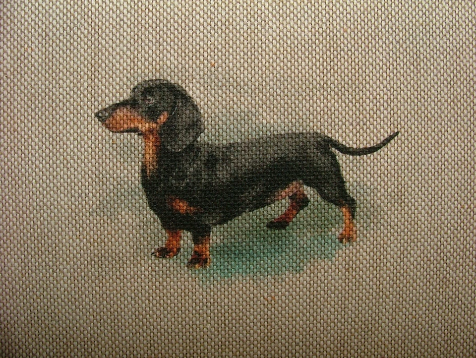 Sausage Dog Dachshund Fabric Cotton Rich Linen Curtain Cushion Upholstery Blinds - Image 2 of 4