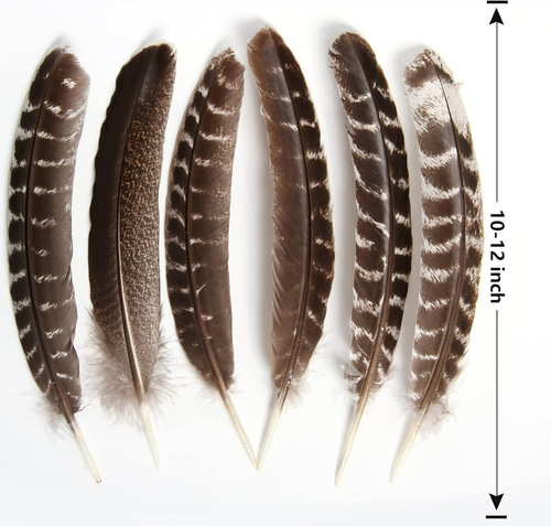 THARAHT 24Pcs Natural Wild Turkey Wing Feathers Quill Bulk 10-12Inch 25-30Cm for - 第 2/12 張圖片