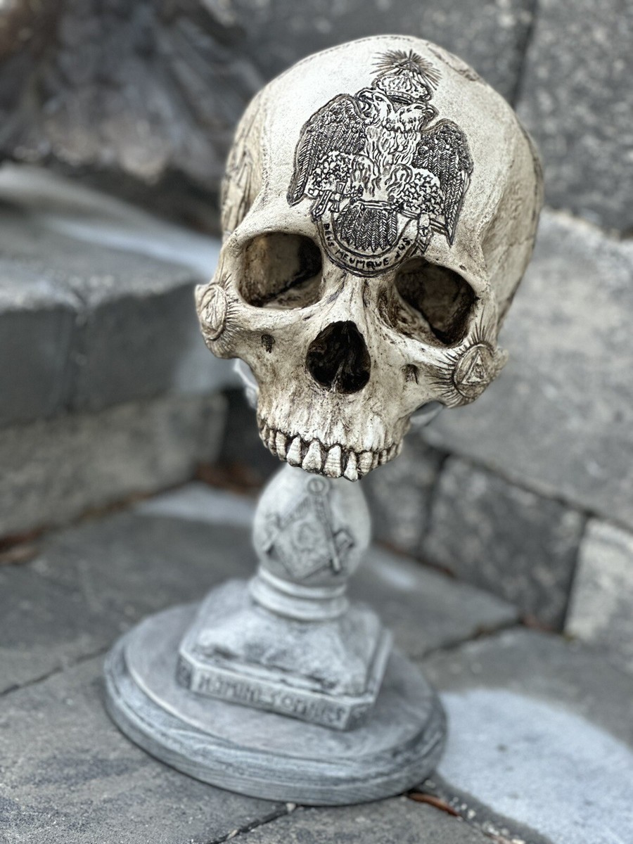 Scottish Rite SJ Carved Skull By Zane Wylie Real Human Skull RESIN