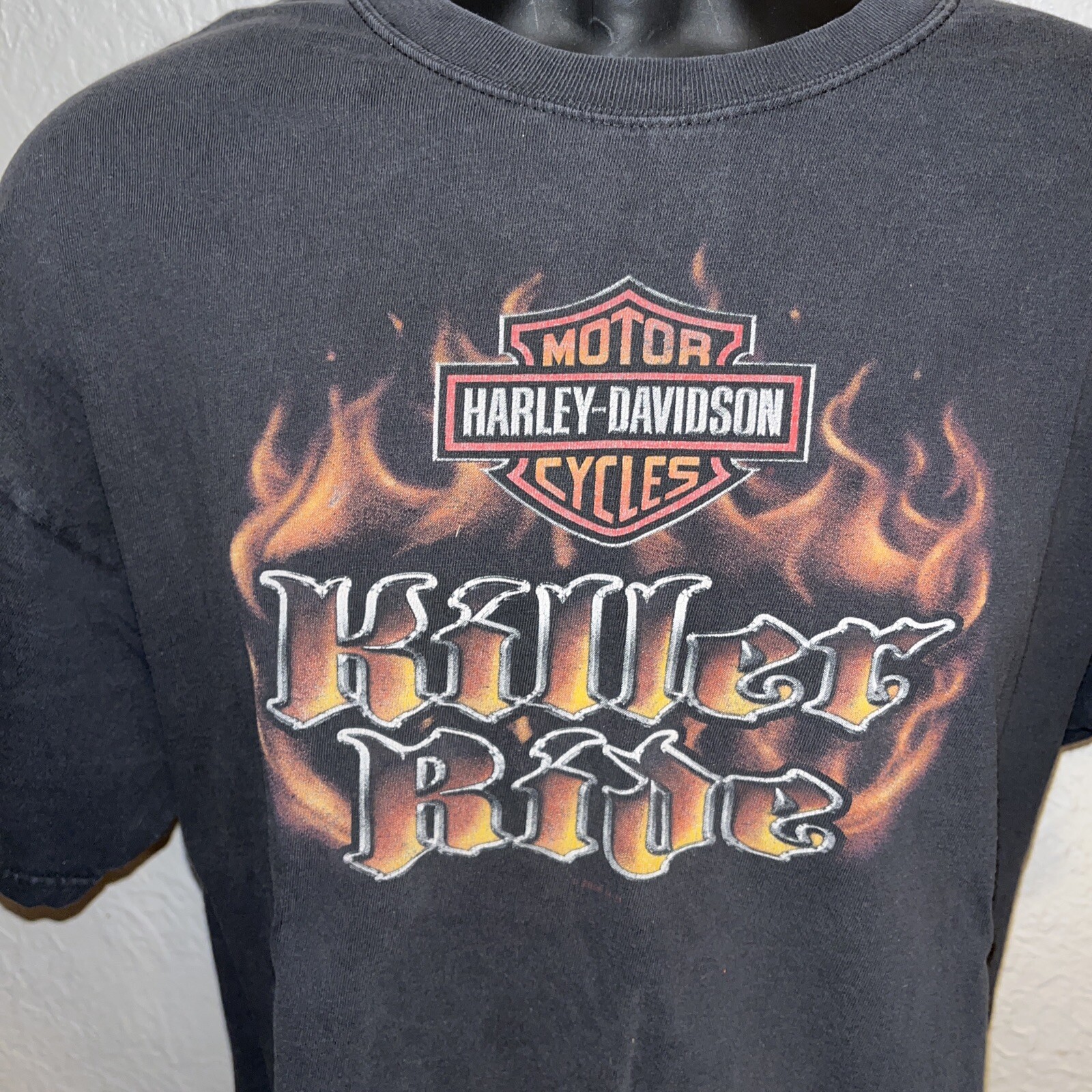 Harley Davidson Killer Ride Flames Gainesville Florid… Gem