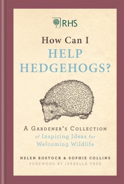 Rhs How Can I Help Hedgehogs