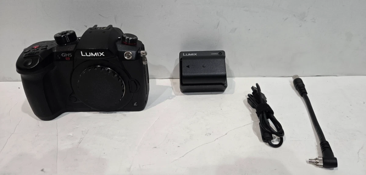 Panasonic LUMIX GH5s Digital Cameras for Sale - Shop New & Used