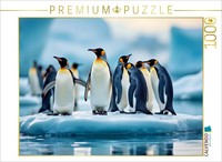 Puzzle Calvendo Un Motif Du Calendrier Avec Les Pingouins | 1000 PièCes, Format