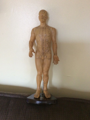 RARE 1950s ACUPUNTURE MODEL KANGLE BRAND MADE IN PEOPLE REPUBLIC OF CHINA