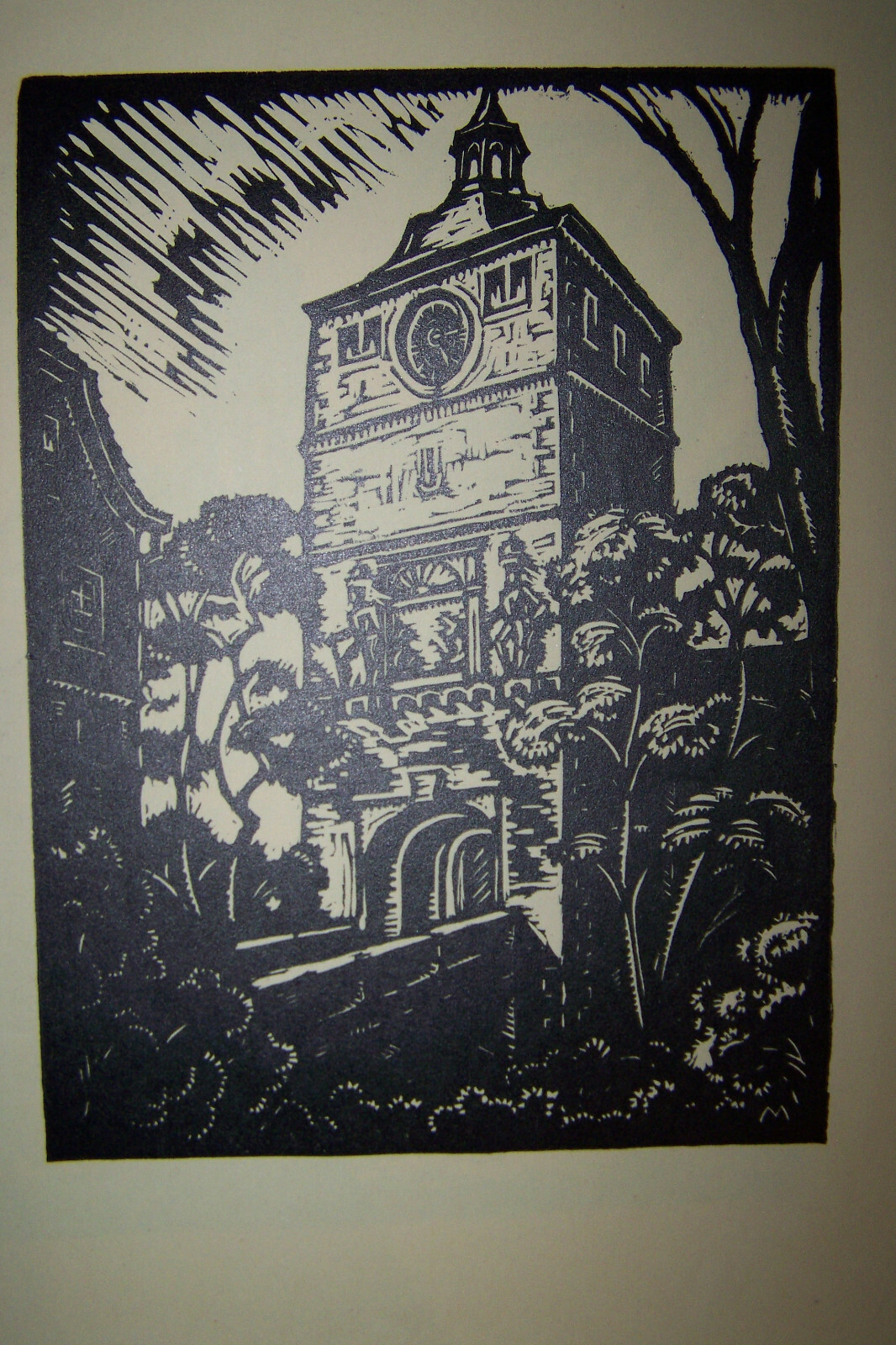 Picture 8 of 9
