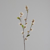Zaubernusszweig / Hamameliszweig 100Cm Creme Dp Kunstblumen KüNstliche Blumen