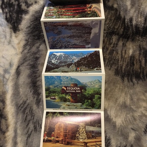 Sequoia National Park Postcard Book 60s California Redwoods Northern Souvenir - Picture 4 of 6