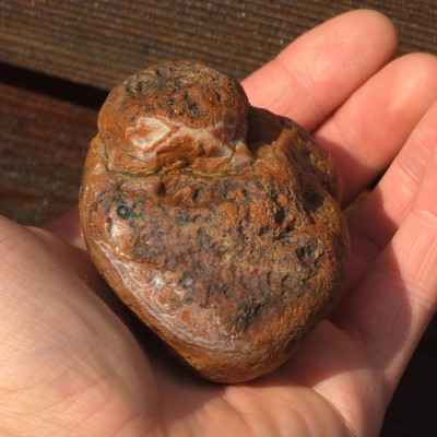 Top Shelf Lake Superior Agate Nodule- Rough 9.5 Oz Lsa, Great For Lapridary Work