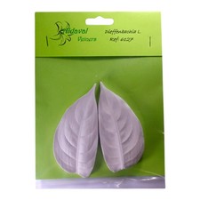 Dieffenbachia L Leaf Silicone Veiner Set (6127)