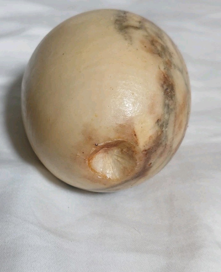 Picture 8 of 8