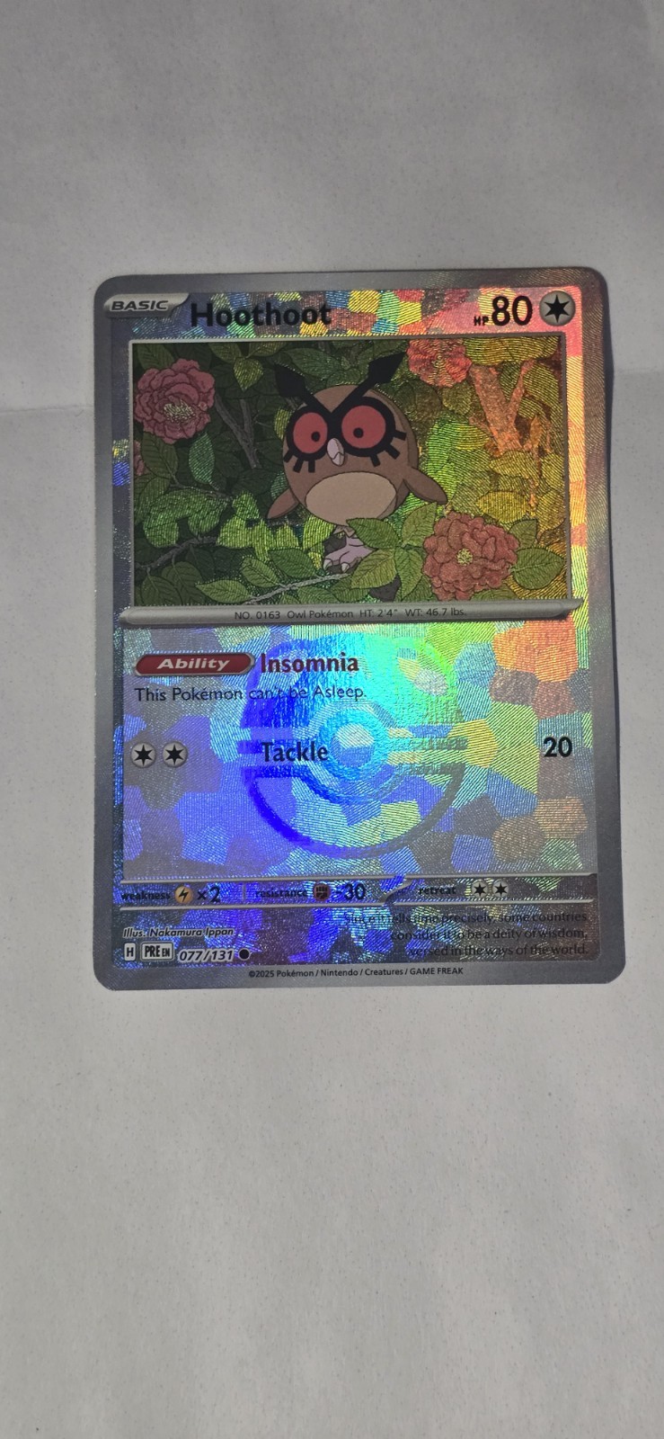 Hoothoot (Master Ball Pattern) 077/131 Sv: Prismatic Evolutions NM