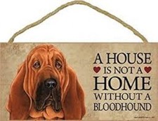 A House is not a Home without a BLOODHOUND Dog Sign 5"x10" NEW Wood Plaque S48