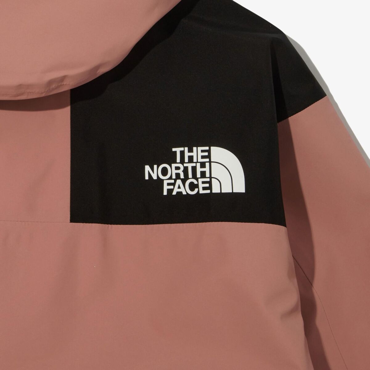 Genuine The North Face RETRO 1986 FUTURELIGHT MOUNTAIN Genuine The North Face RETRO 1986 FUTURELIGHT MOUNTAIN