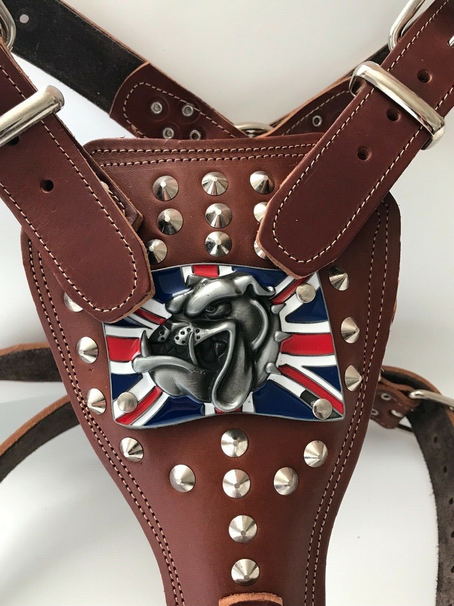 LEATHER BULLDOG HARNESS-BRITISH/ENGLISH BULLDOG-REAL GENUINE LEATHER DOG  HARNESS