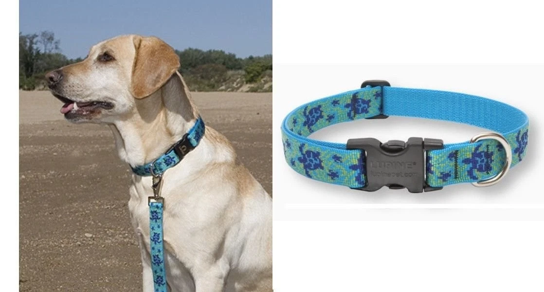 LupinePet Originals 1" Turtle Reef 12-20"Adjustable Collar for Medium and Larger