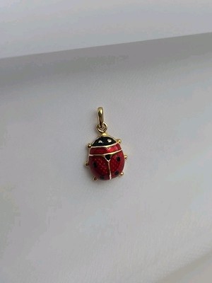 14k Gold Marienkäfer Anhänger Italien HW Burdick Co rot schwarz Emaille