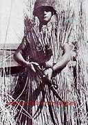 Liebesgeschichte eines Landsers | Buch | 9783842339859