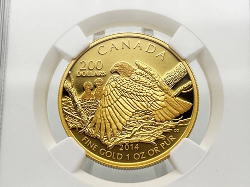 Canada 200$ 2014 BALD EAGLE Protecting Her Nest 1 oz Pure Gold Coin NGC PF70
