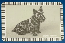EN36 Swap Playing Cards 1 VINTAGE ENGLISH NAMED DOGS SCOTCH TERRIER SCOTTIE DOG