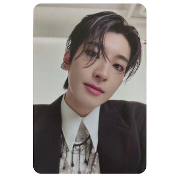 JEONGHAN X WONWOO THIS MAN PHOTO CARD STANDARD weverse KIT