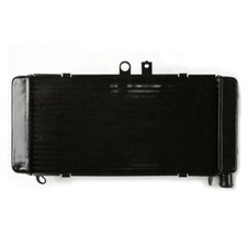 Radiatore radiatore motore alluminio per Honda CB900 Hornet 900 CB919F 2002-2007