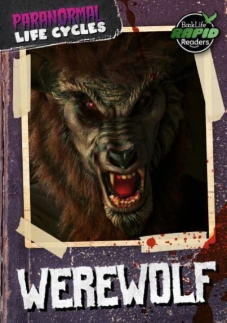 Werewolf by Noah  Leatherland (Paperback Book)