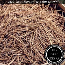 PINE NEEDLE STRAW - Eastern White Pine - 3 POUNDS + - ORGANIC NJ FARM - 2025
