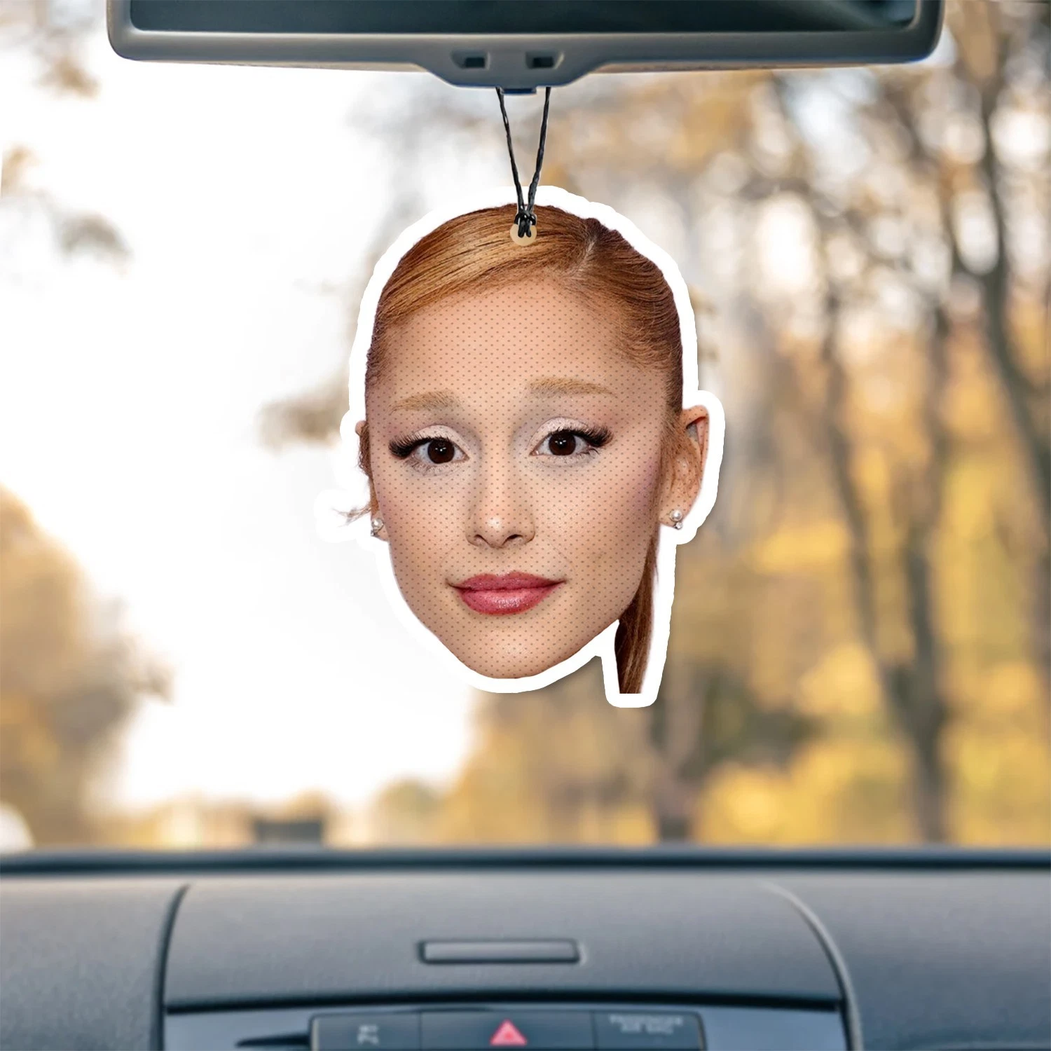 Ariana Unscented Hanging Car Air Freshener Freshie