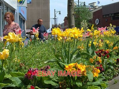 FOTO FRÜHLINGSBLUMEN OLDHAM EINER VON MEHREREN GEPFLEGTEN PFLANZGEFÄSSEN IM WESTEN
