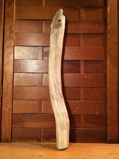 Beautiful 18" DRIFTWOOD Piece Art Terrarium Taxidermy Aquarium Beach Wood DECOR