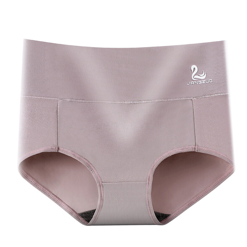 Leakproof Underwear Briefs for Women Incontinence Leak Proof Protective