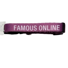 About Face Designs Famous Online Adjustable Dog Collar Size S/M Purple NWT