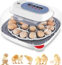24 Egg Incubator for Hatching Eggs w/Automatic Egg Turning Temperature Control  