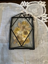 Floating Metal and Glass Frame with Dried Pressed Flowers