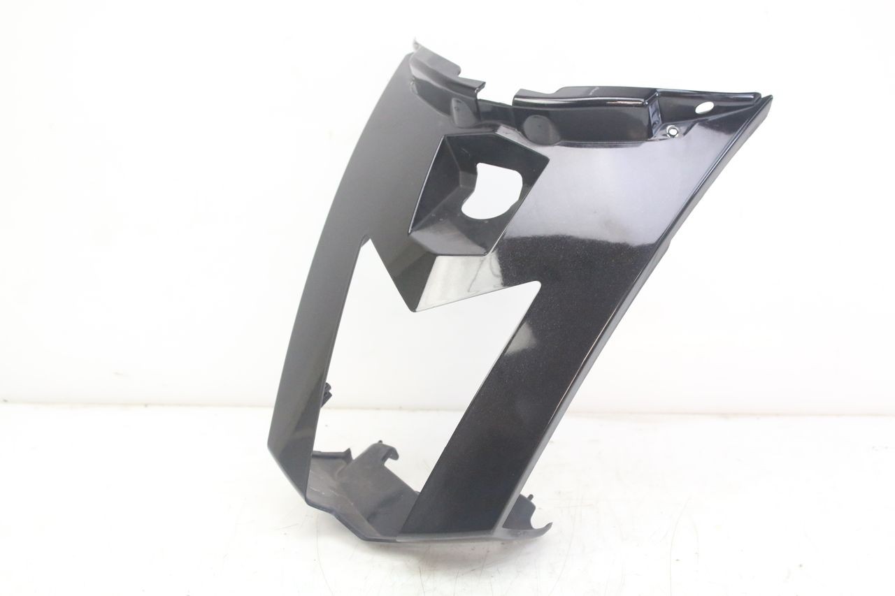 VERKLEIDUNG HINTEN MITTE - PEUGEOT GEOPOLIS RS 125 (2007 - 2009)