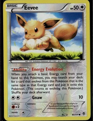Eevee Common XY Furious Fists 80/111 Colorless Reverse Holo