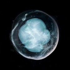 A Winged Victory for the Sullen The Undivided Five (Vinyl) 12" Album