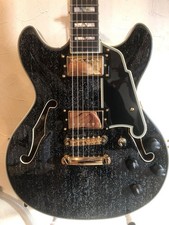 Semi-Acoustic Electric Guitar D'Angelico Excel Mini DC Black Dog Korea W2300057