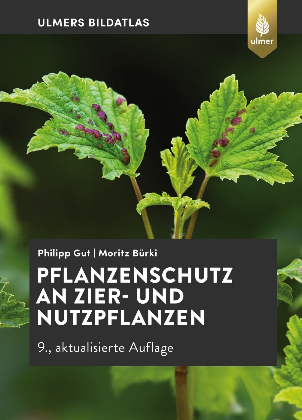 Thumbnail - Philipp Gut; Moritz Bürki / Pflanzenschutz An Zier- Und Nutzpflanzen