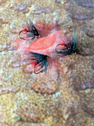 Trucha de mar mosca de 3 V talla 8 10 y 12 colección de firmas Highlands & Islands - Imagen 22 de 24