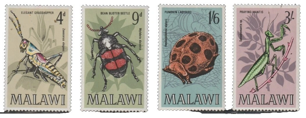 En excelente estado nunca abisagrado/estampillada sin montar o nunca montada insectos Sellos Malawi (1964-presente)
