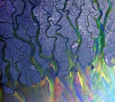 Awesome Wave by Alt-J (CD, 2012)