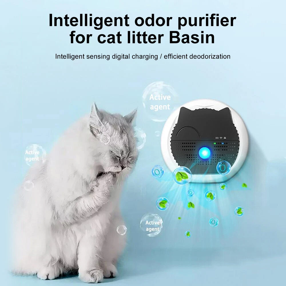 Cat litter odor on sale air purifier