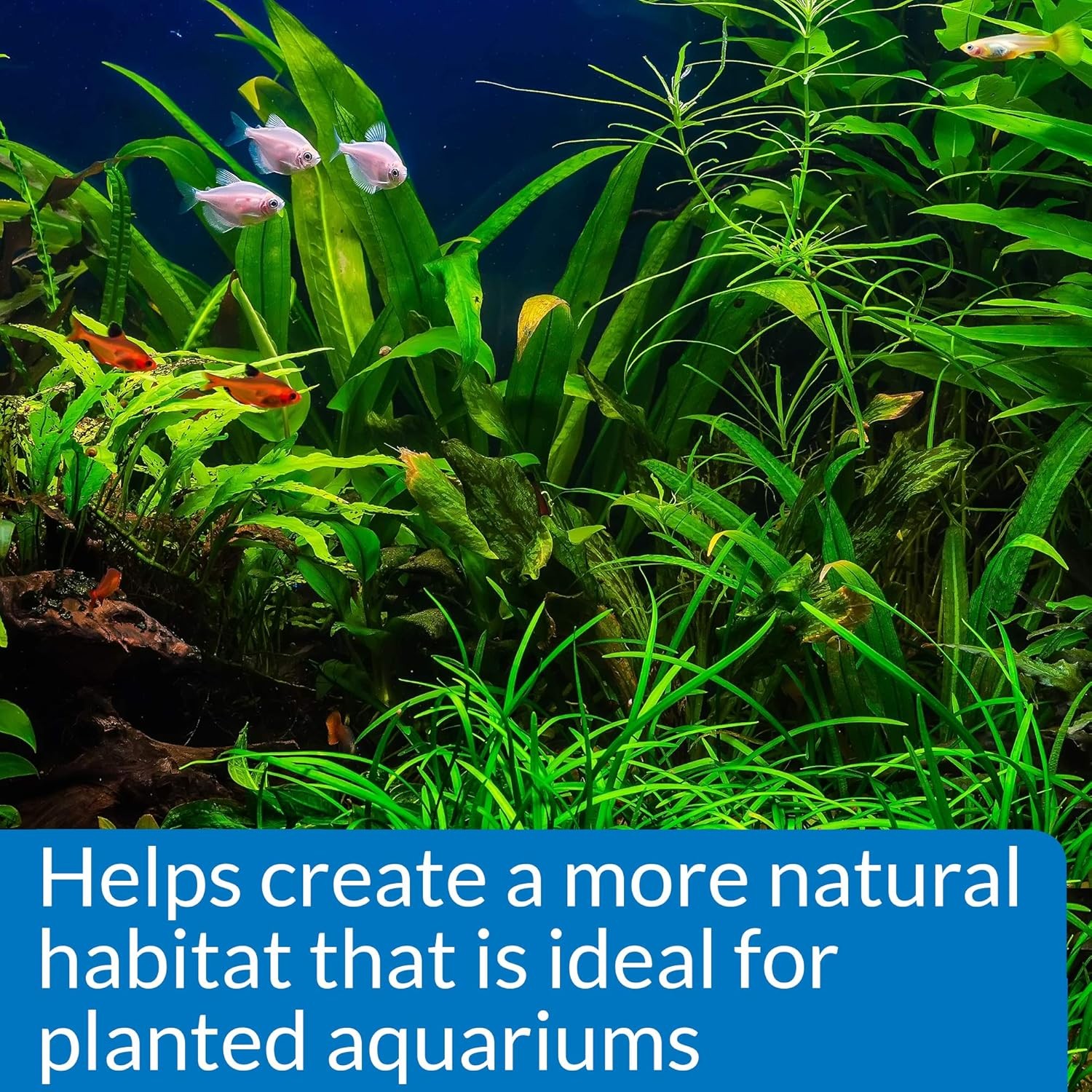 Freshwater Aquarium Water Test Kit GH KH Water Testing Kit