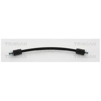 2X Bremsschlauch Vorne FüR Audi A6 4B 2.7 2.8 3.0 4.2 97 Bis 05 Triscan AFF APT