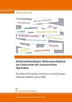 Herkunftsbedingte Mehrsprachigkeit Im Unterricht Der Romanischen Sprachen Amina