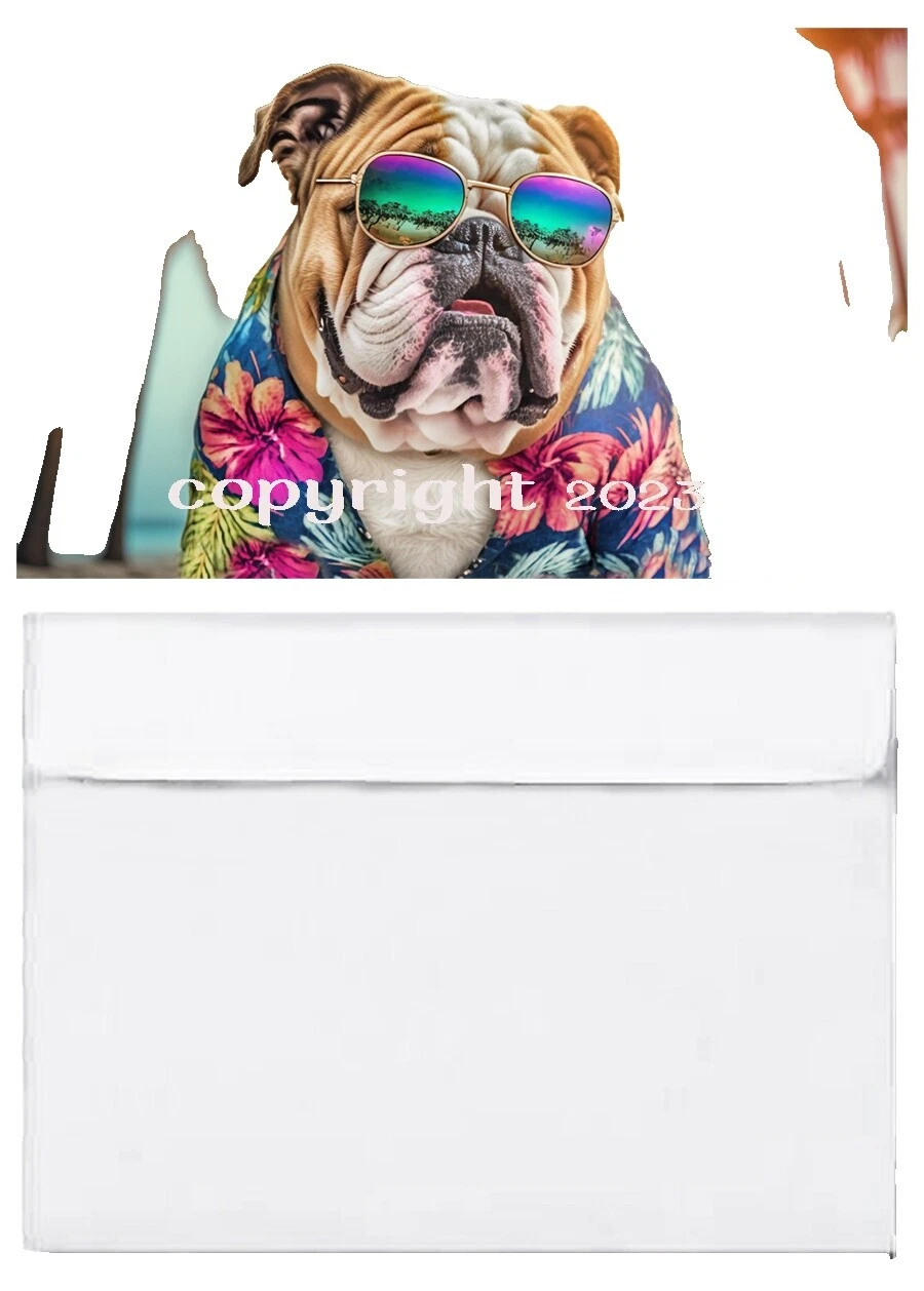 All Occasions Animals Greeting Blank Cards