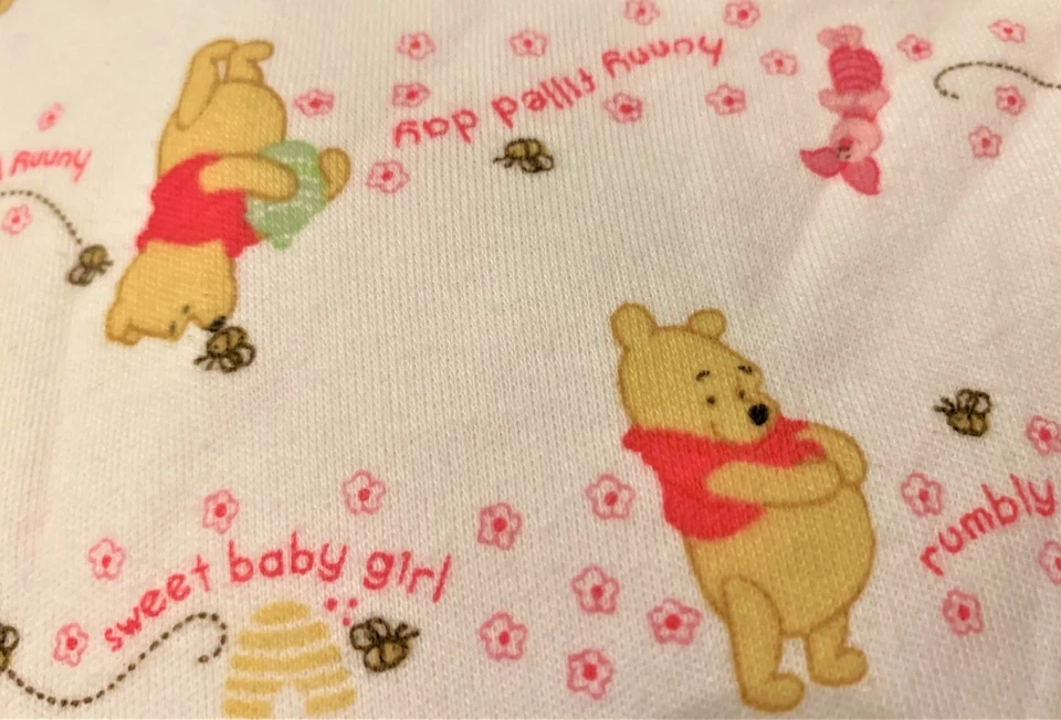 MANTA BEBÉ CON CAPUCHA REVERSIBLE BORDADA DISNEY WINNIE THE POOH NUEVA Foto 3 de 4