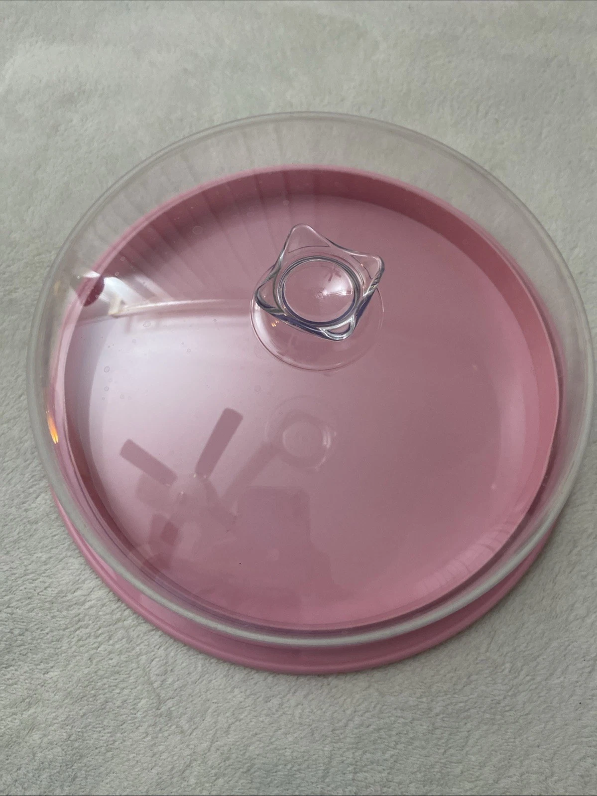 Cosmoplast 10” Cake Cover & Plate Round Transparent Pink Made In Italy
Opens in a new window or tab