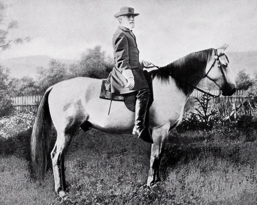 General Robert E Lee 8X10 Photo Picture Image Confederate CSA USA Civil War #10